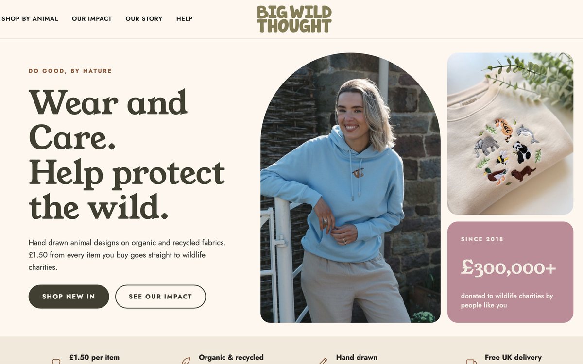 Big Wild Thought website